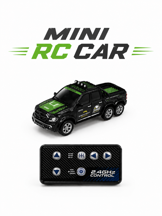 Mini RC Car