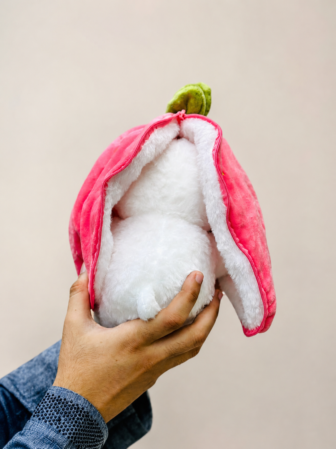 Cute Hidden Rabbit
