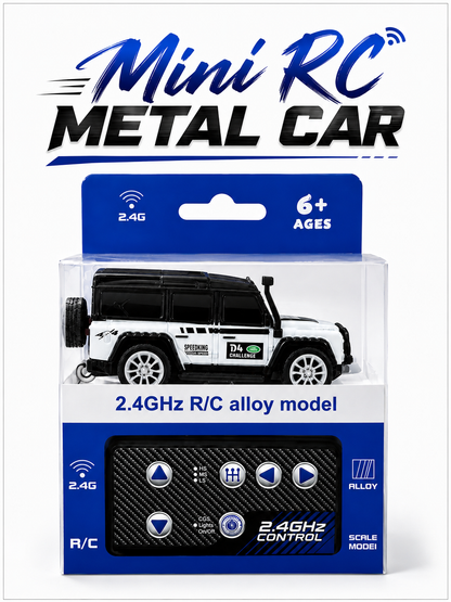 Mini RC car
