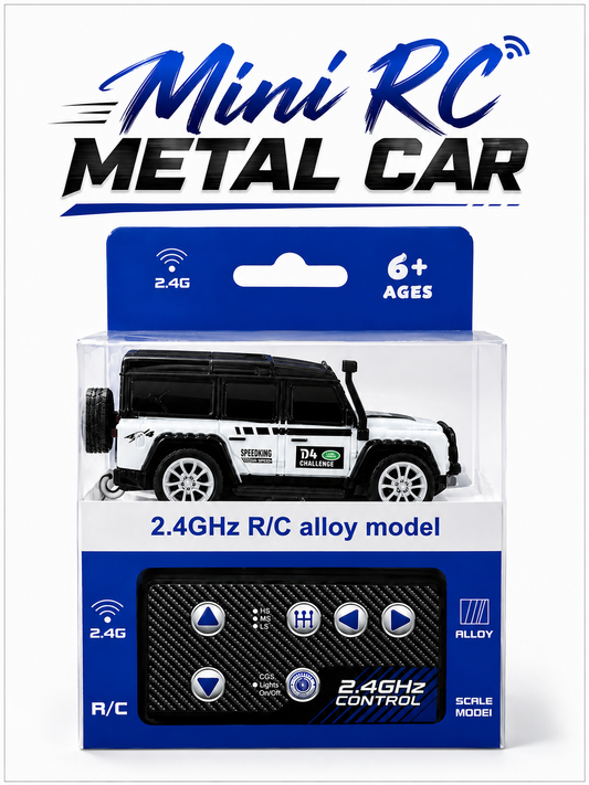 Mini RC car