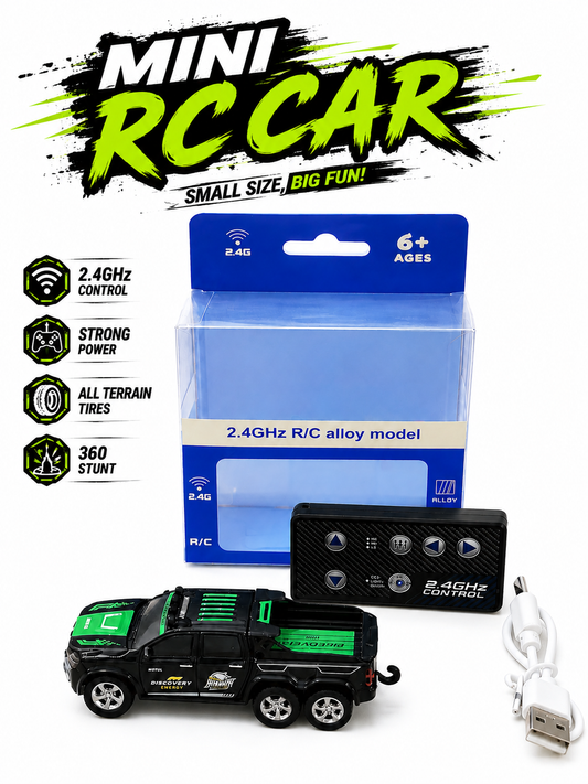 Mini RC Car